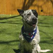 Thumbnail photo of Lester JuM #4