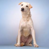 Thumbnail photo of Shaco C #2