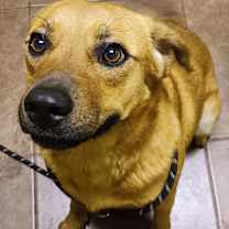 Thumbnail photo of Stevie #4