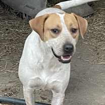 Thumbnail photo of Sunny #1