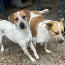 Thumbnail photo of Sunny #2