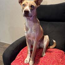 Thumbnail photo of Luna #3