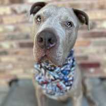 Thumbnail photo of Thunder #2