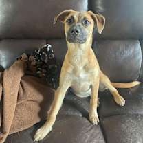 Thumbnail photo of Daffy #3