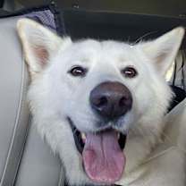 Thumbnail photo of BOO #1