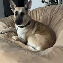 Thumbnail photo of Waffle #1