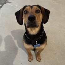 Thumbnail photo of Tex #4