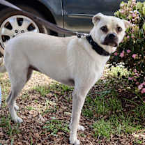 Thumbnail photo of Delta #2