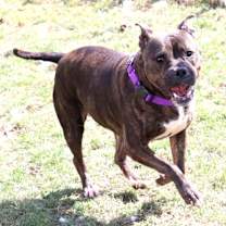 Thumbnail photo of Estelle #3