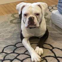 Thumbnail photo of Spaghetti #1