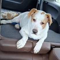 Thumbnail photo of Rubble #2