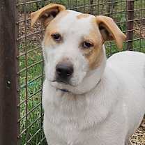 Thumbnail photo of Rubble #3