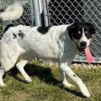 Thumbnail photo of Nougat #2