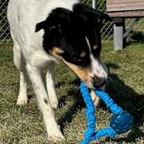 Thumbnail photo of Nougat #3