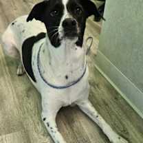 Thumbnail photo of Sasha #4