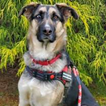 Thumbnail photo of Raya #1