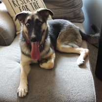 Thumbnail photo of Raya #3