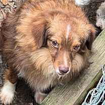 Thumbnail photo of Montana #4