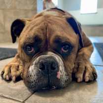 Thumbnail photo of Rolly Polly #3