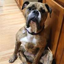 Thumbnail photo of Rolly Polly #4