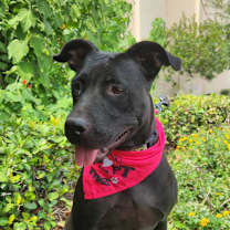 Thumbnail photo of Yaya JuM #1