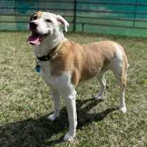 Thumbnail photo of Zero #2