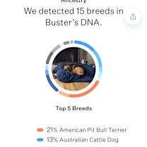 Thumbnail photo of Buster #4