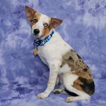 Thumbnail photo of JAMESON #2