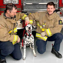 Thumbnail photo of Old Man Rupert #4