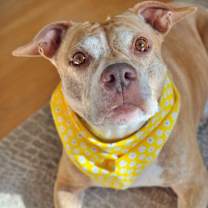 Thumbnail photo of Elsa #2