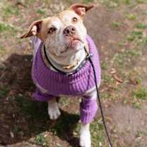 Thumbnail photo of Elsa #3