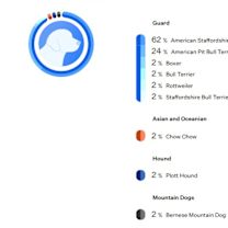 Thumbnail photo of Miley (Deaf) #3