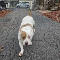 Thumbnail photo of Roxy #4