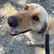 Thumbnail photo of Hunter #1