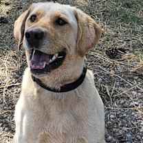 Thumbnail photo of Hunter #4