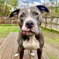 Thumbnail photo of Bradley #4