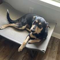 Thumbnail photo of Hope #1