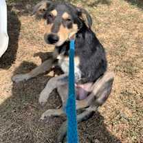 Thumbnail photo of Hope #3