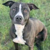 Thumbnail photo of Haven #3