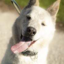 Thumbnail photo of Stephen #1