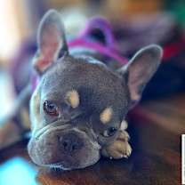 Thumbnail photo of Squashy Nice #1