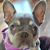 Thumbnail photo of Squashy Nice #4