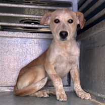 Thumbnail photo of Wes #2