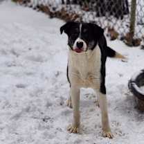 Thumbnail photo of Crush #1