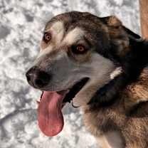 Thumbnail photo of Snapchat #2