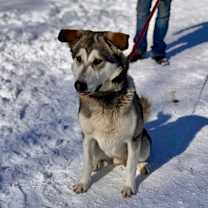 Thumbnail photo of Snapchat #3