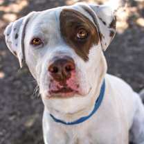 Thumbnail photo of JOHNNY #3