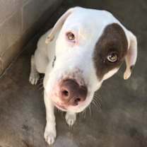 Thumbnail photo of JOHNNY #4