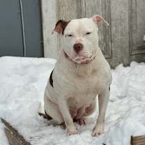 Thumbnail photo of Chelsea ‼️ #2