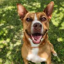 Thumbnail photo of Vixen #1